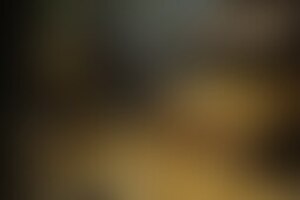Фотография экшн-игры Форт Боярд 2.0 от компании Квест-шоу (Фото 1)