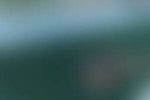 Фотография квеста-анимации Школа разведчика (delete) от компании Delete (Фото 5)