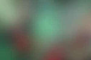 Фотография квеста-анимации Королевская битва от компании Адреналин (Фото 1)