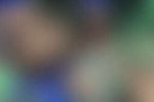 Фотография квеста-анимации Королевская битва от компании Адреналин (Фото 3)